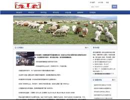 养羊的技术网站缩略图