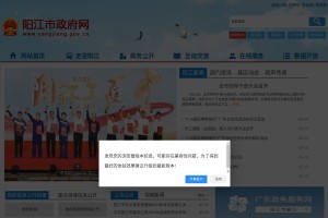 阳江人民政府网网站缩略图
